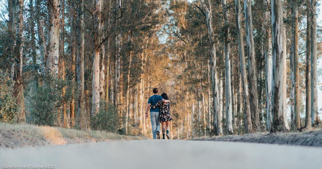 Photo of Others in Wilderness