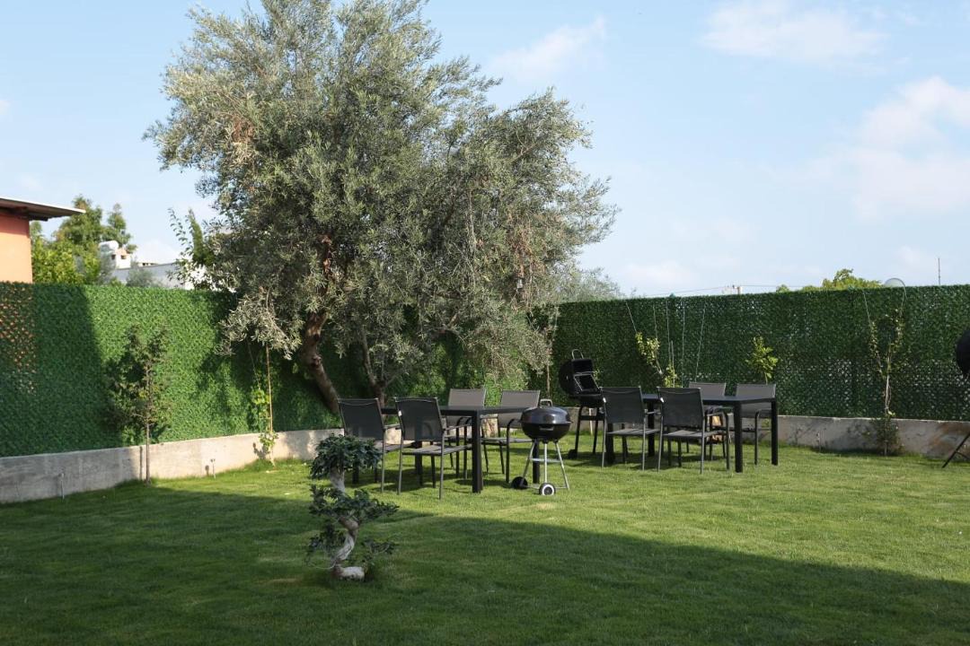 Photo of Patio Balcony in Lara