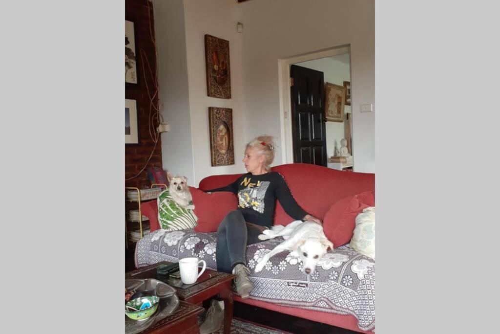 Photo of Others in Pinetown