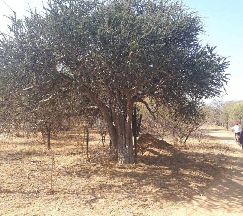 Photo of Others in Ephraim Mogale