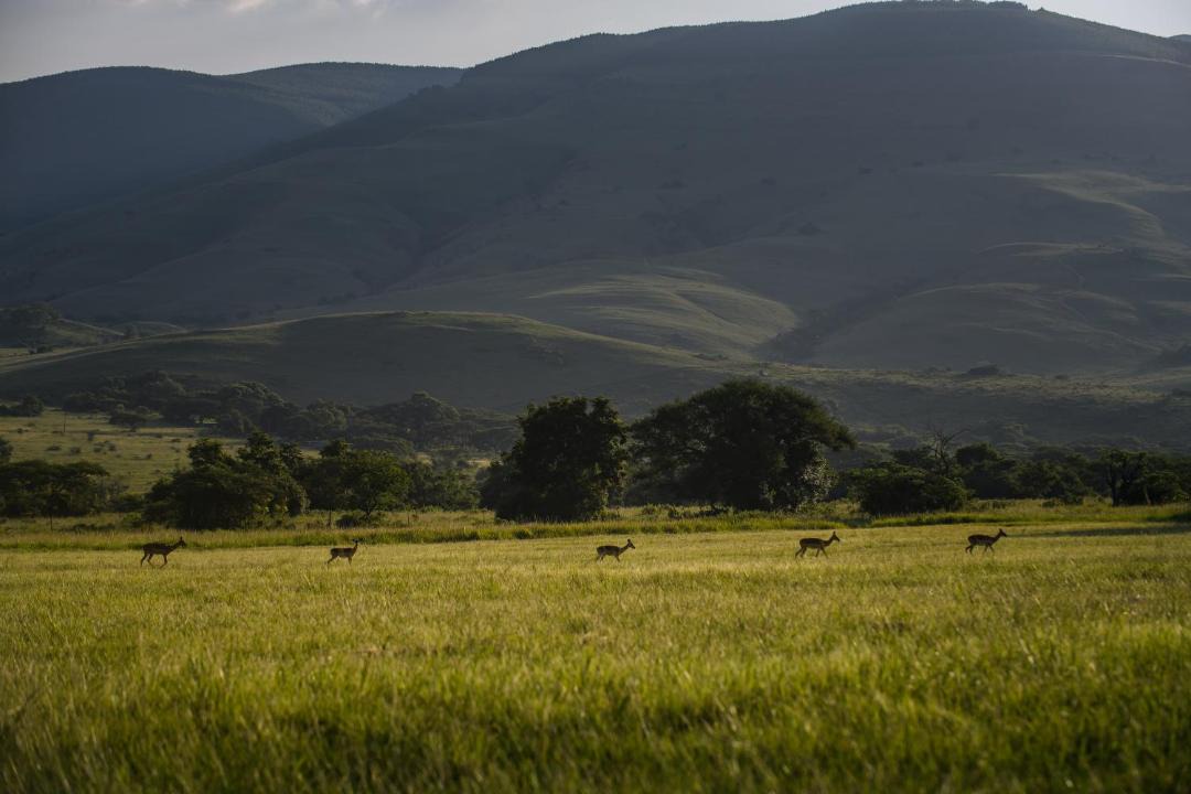 Photo of Others in Houtboschoek