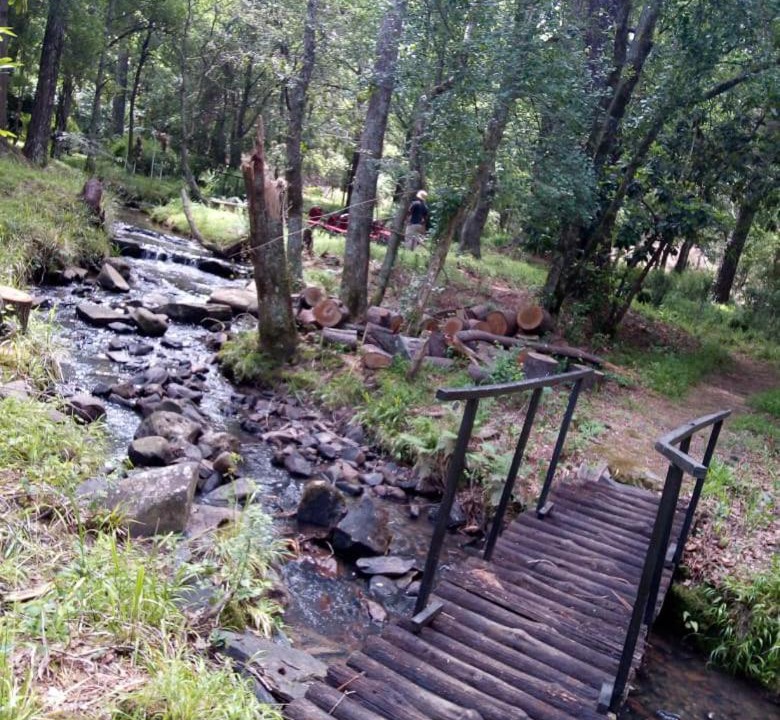 Photo of Others in Hogsback