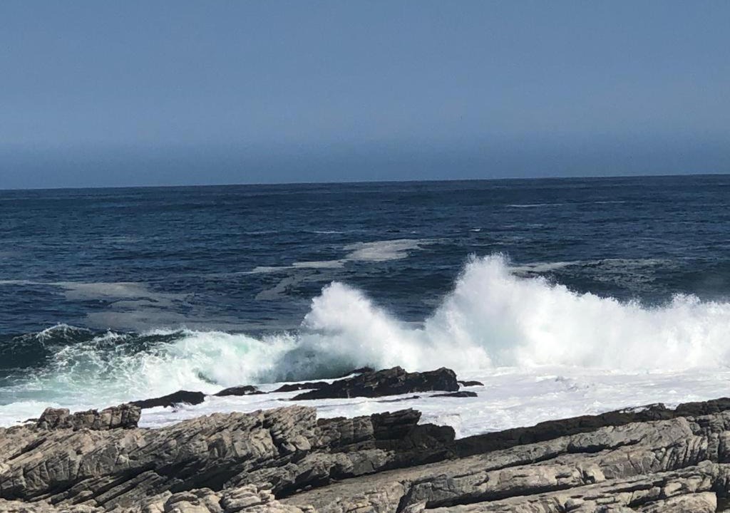 Photo of Others in Hermanus