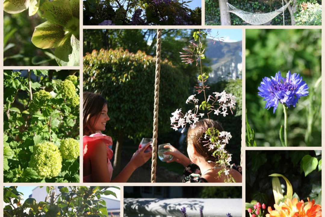 Photo of Others in Franschhoek