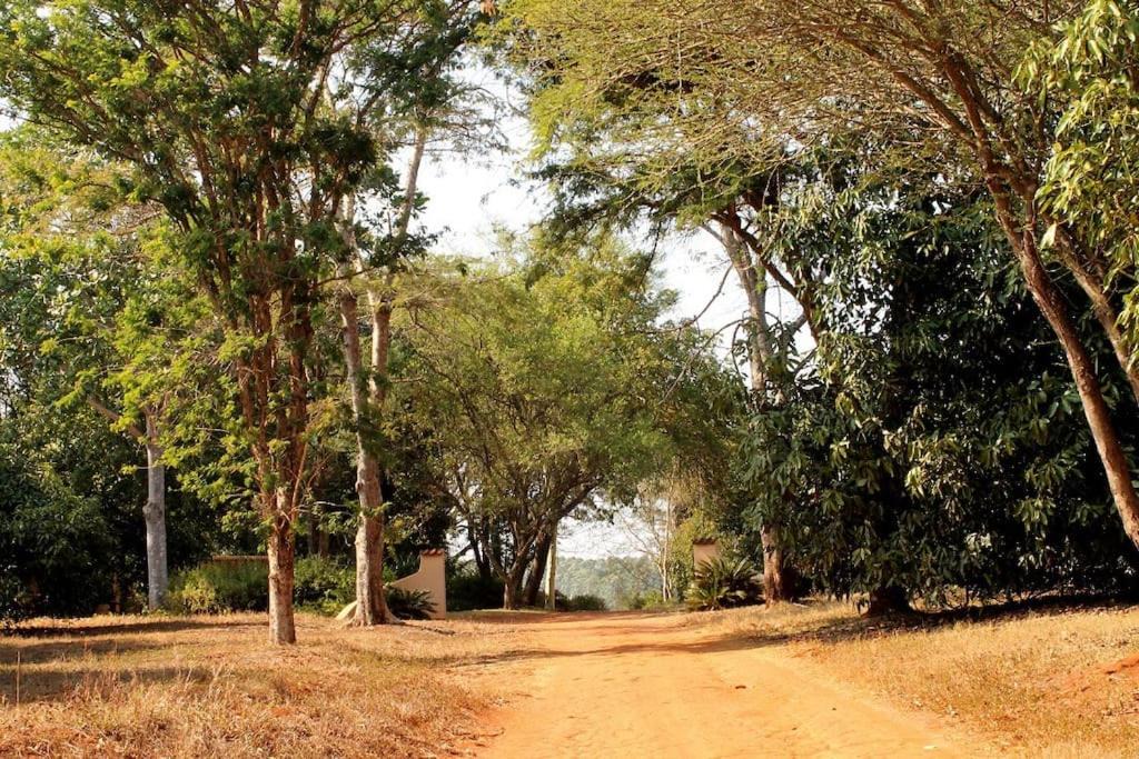 Photo of Others in Nkowankowa