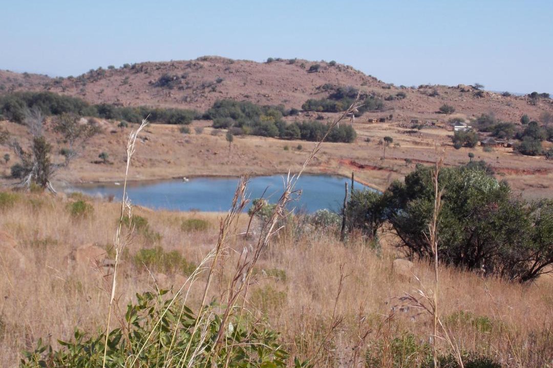 Photo of Others in Tonteldoos