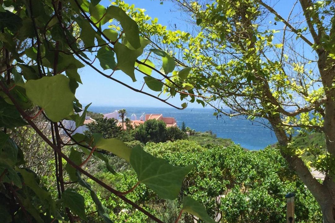 Photo of Others in Saint Francis Bay