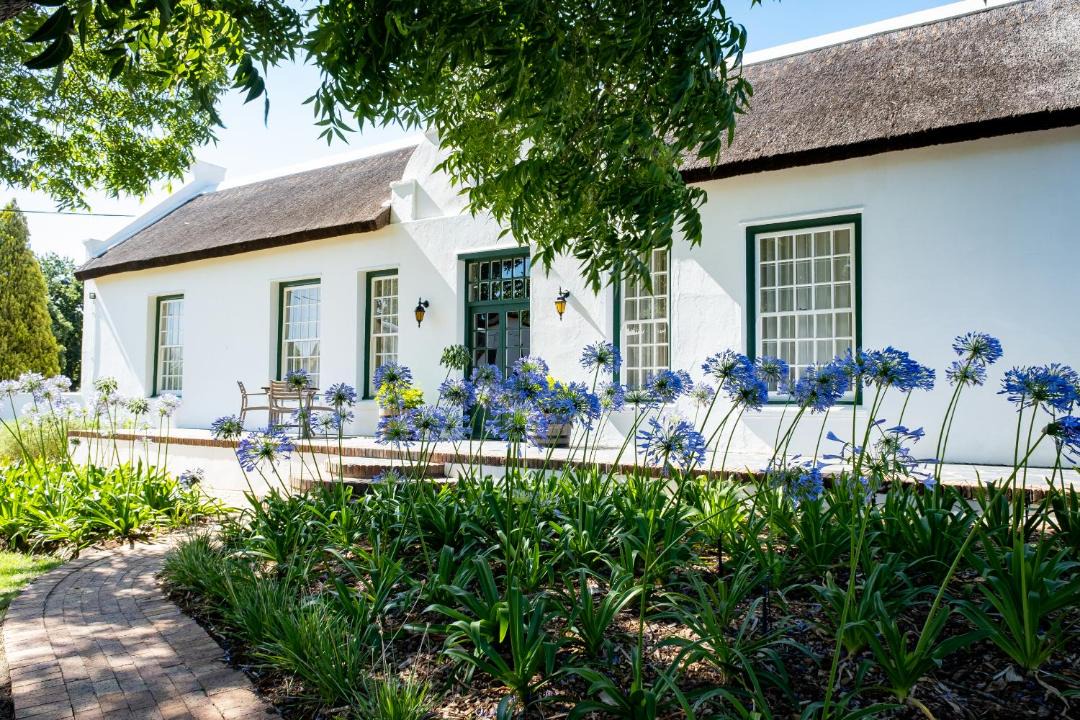 Photo of Buildings in Paarl