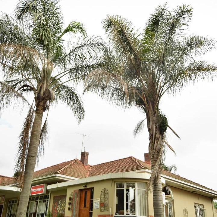 Photo of Buildings in Piet Retief