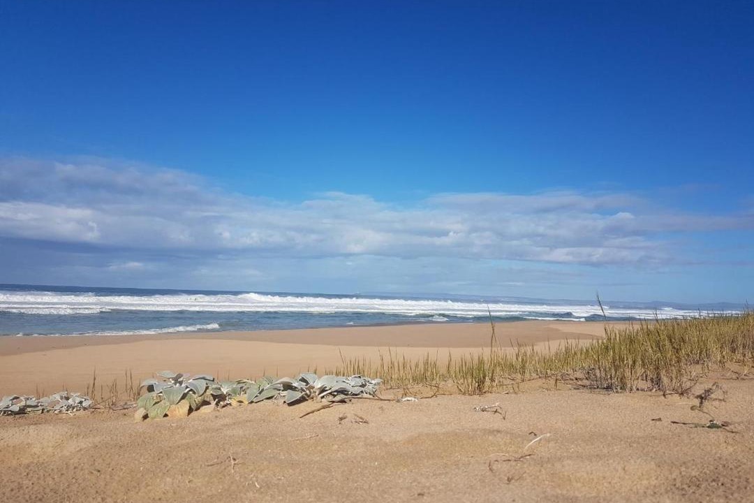 Photo of Others in Outeniqua Strand