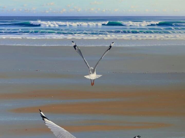 Photo of Others in Yzerfontein