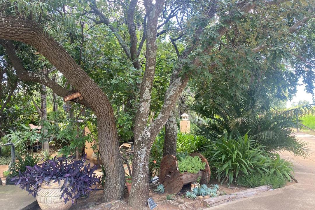 Photo of Others in Magaliesberg