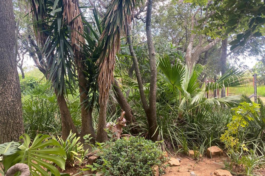 Photo of Others in Magaliesberg
