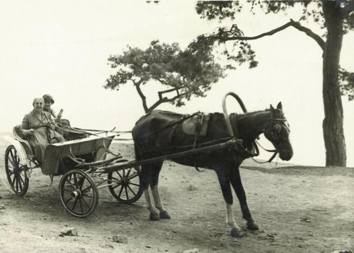 Photo of Others in Adalar