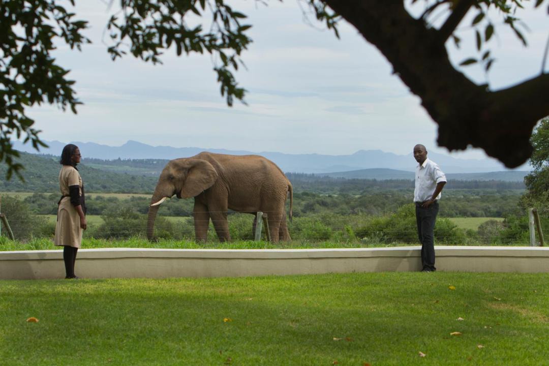 Photo of Others in Addo
