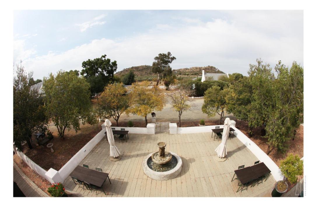 Photo of Others in Sol Plaatjie