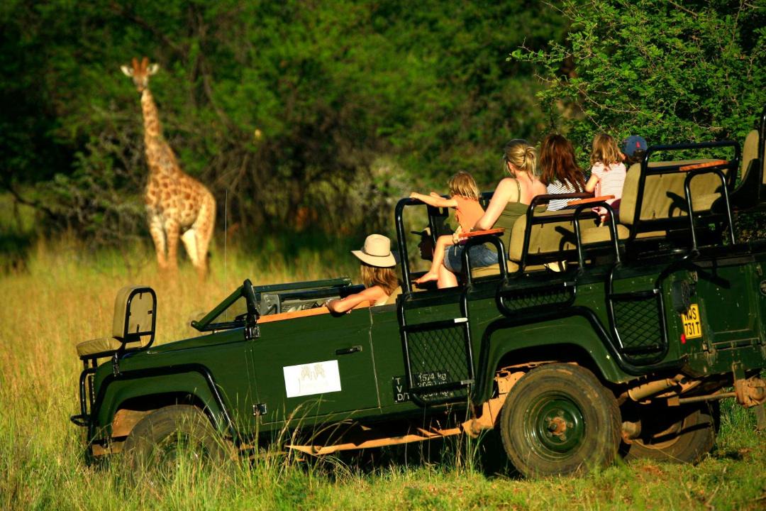 Photo of Others in Waterberg