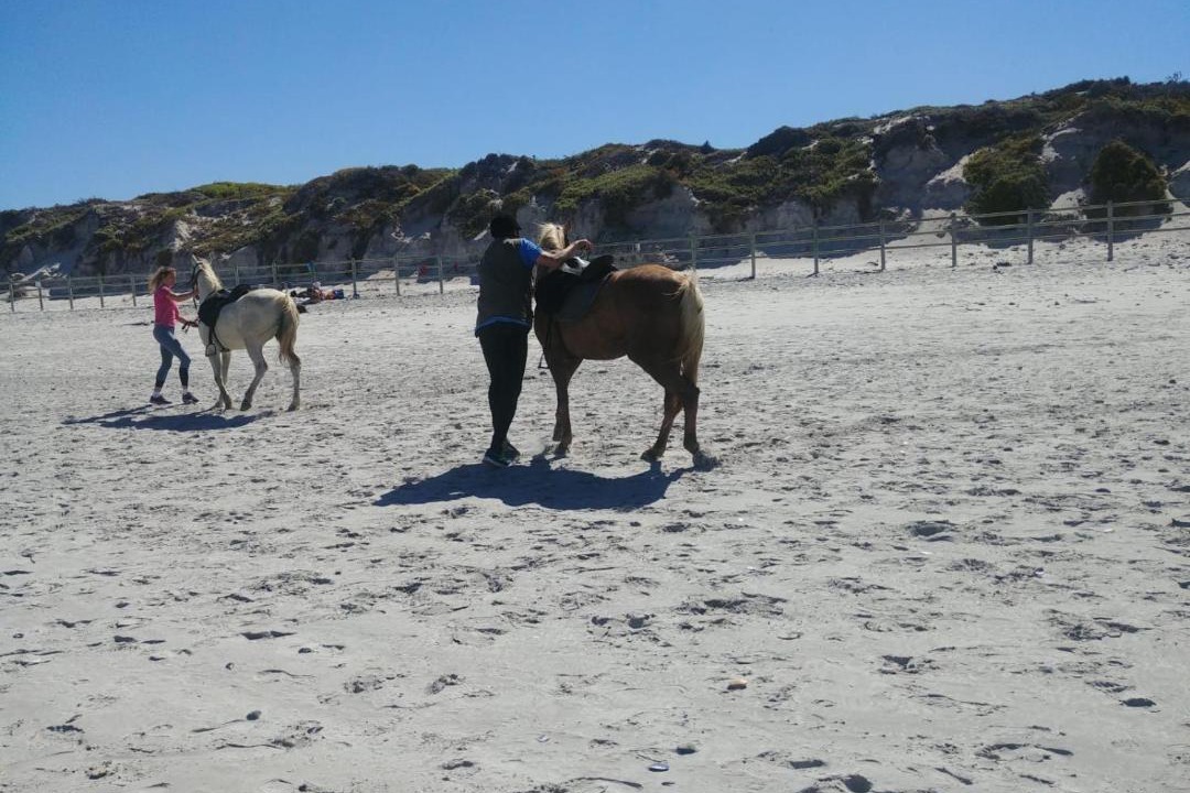 Photo of Others in Yzerfontein