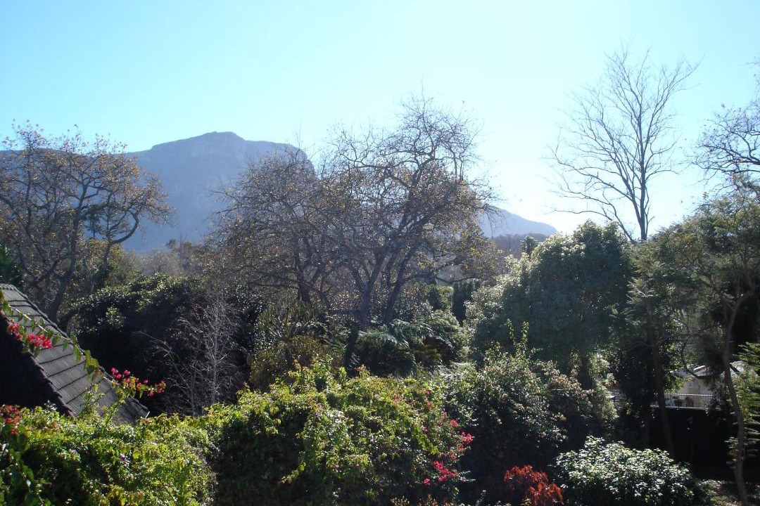 Photo of Others in Constantia