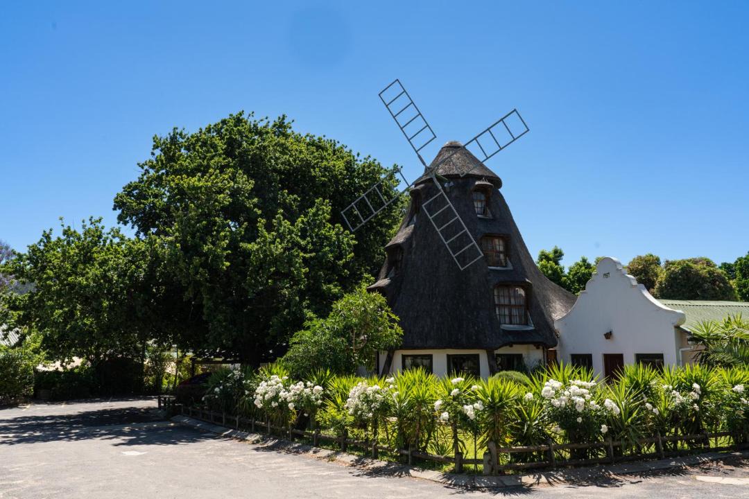 Photo of Others in Cape Winelands