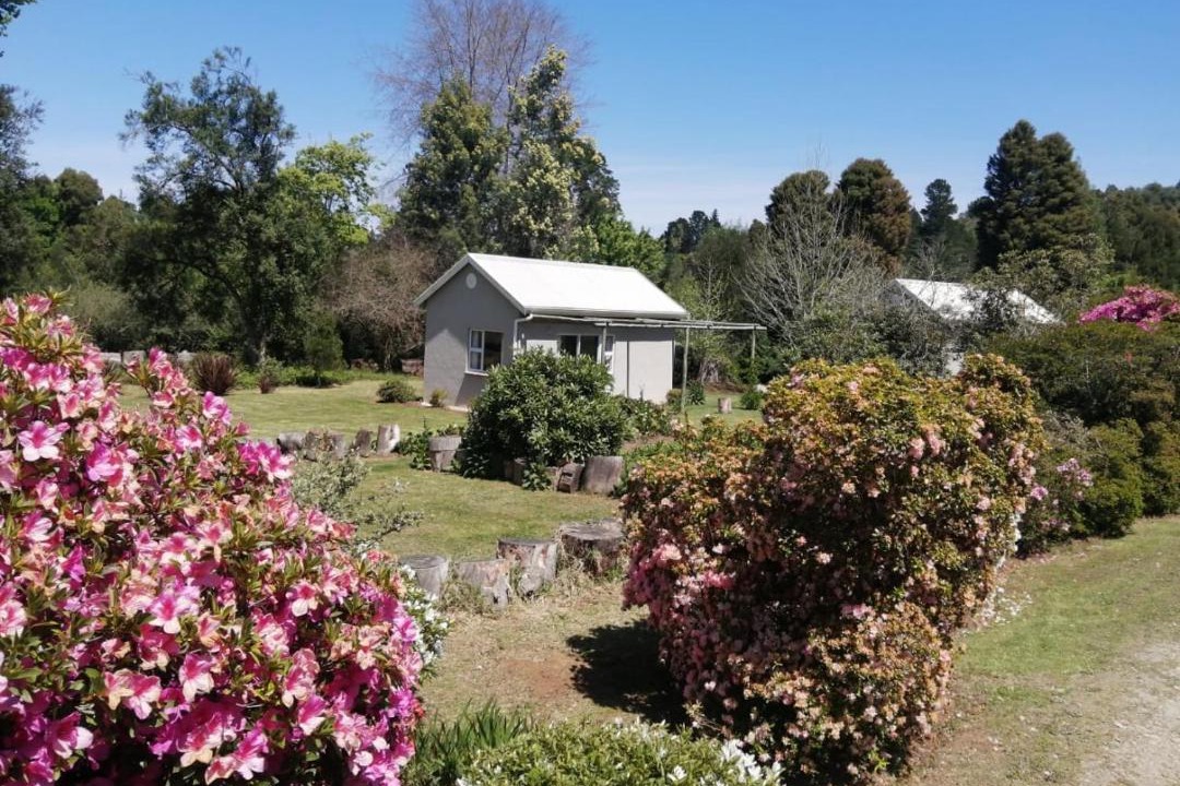 Photo of Others in Hogsback