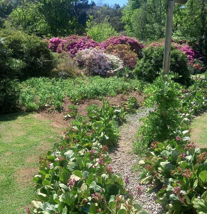Photo of Others in Hogsback