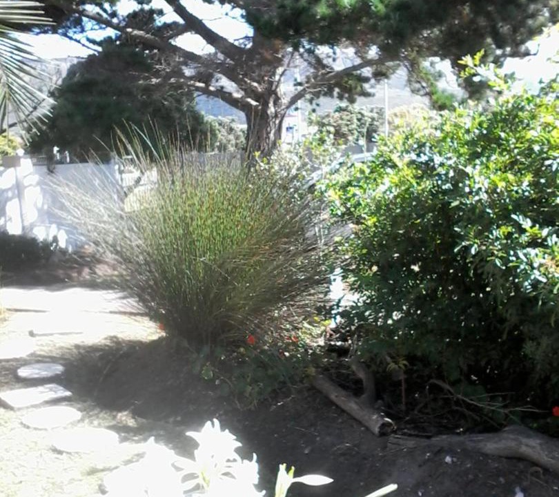 Photo of Others in Sandbaai