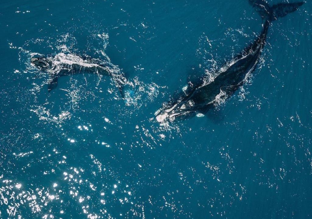 Photo of Others in Mossel Bay