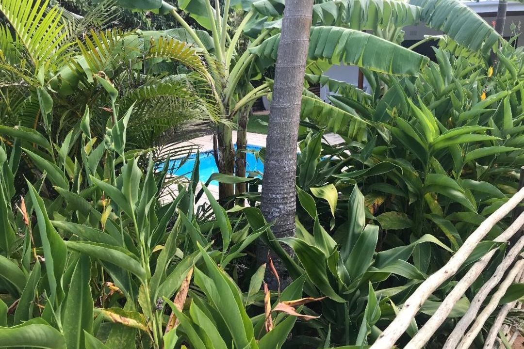 Photo of Others in St. Lucia