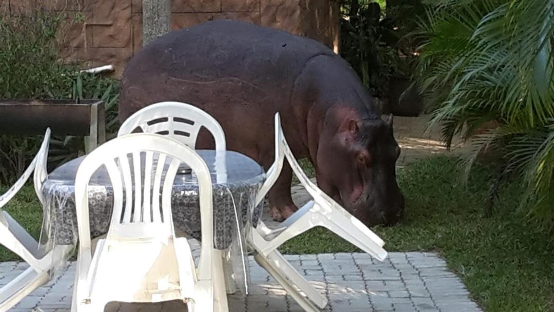 Photo of Others in St. Lucia