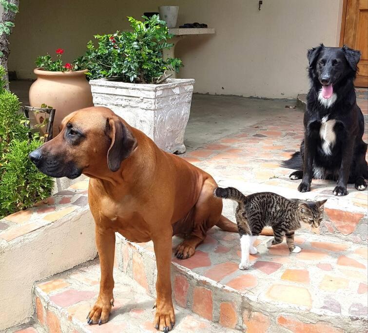 Photo of Others in Barrydale