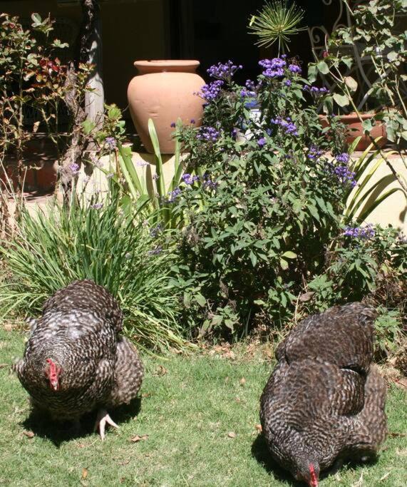 Photo of Others in Barrydale
