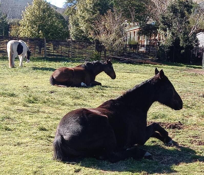 Photo of Others in Barrydale