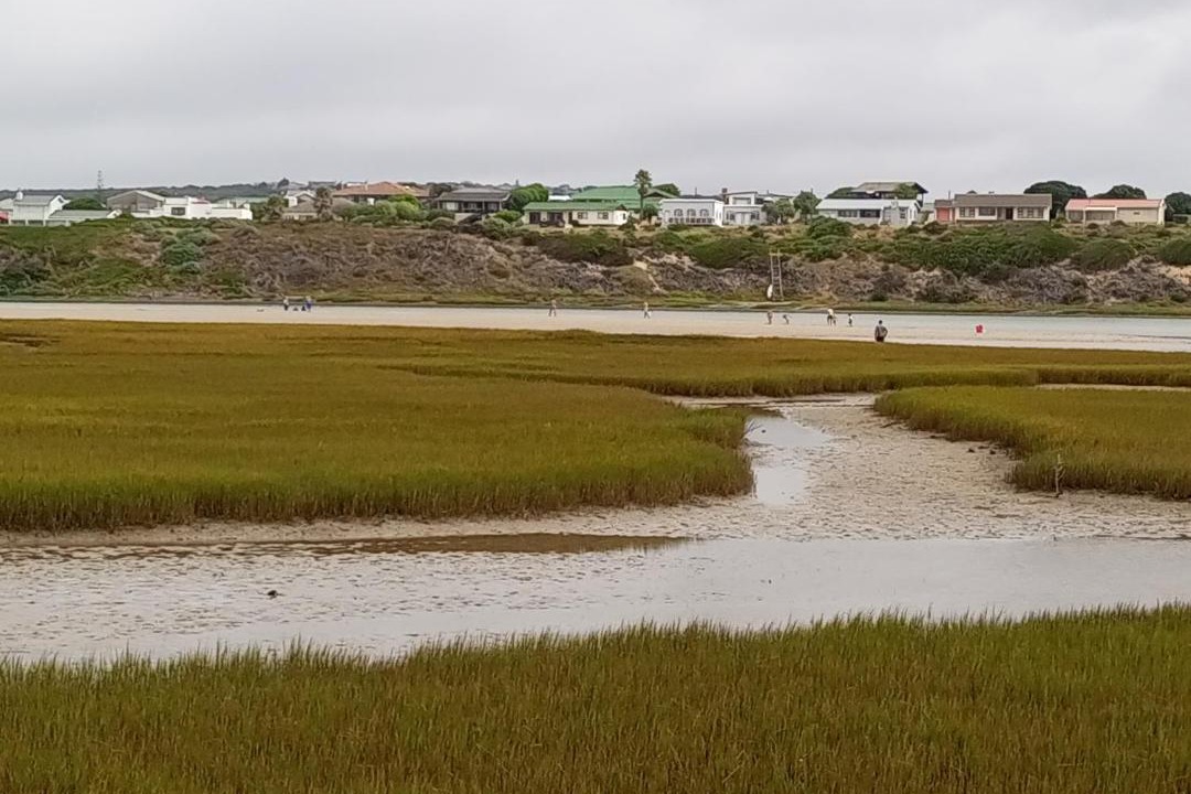 Photo of Others in Still Bay