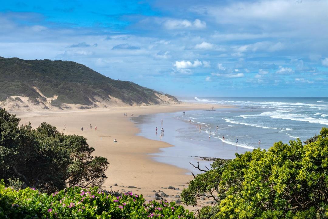 Photo of Others in Morgans Bay