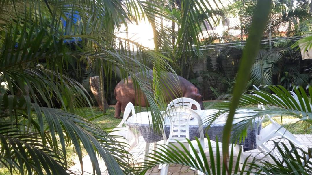 Photo of Others in St. Lucia