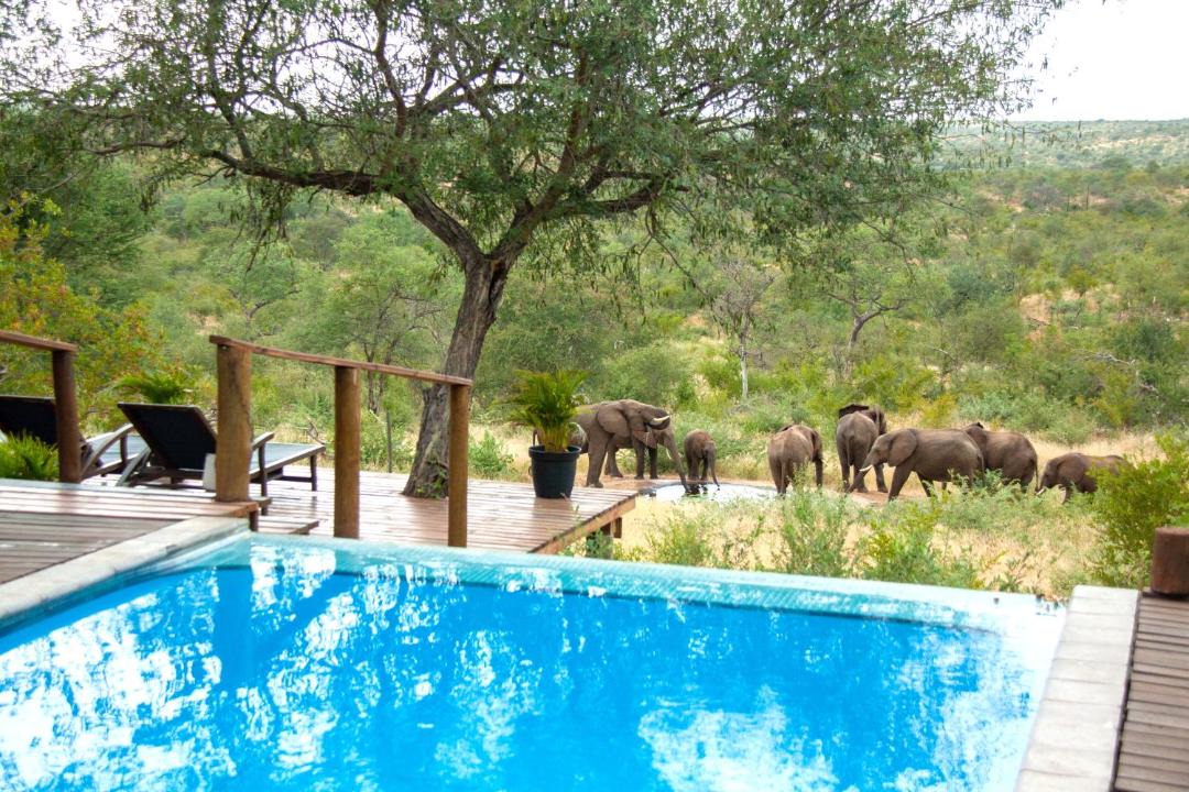 Photo of Others in Phalaborwa