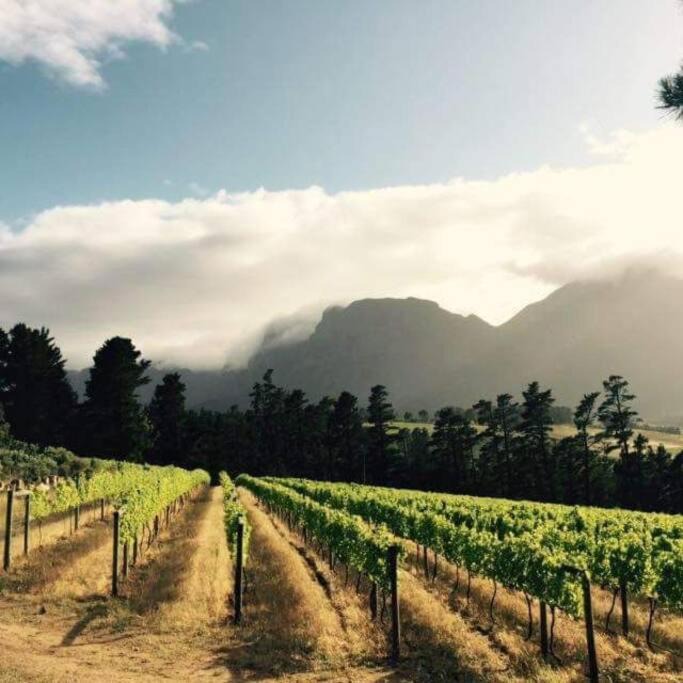 Photo of Others in Helderberg Rural
