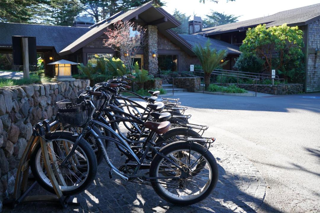 Photo of Others in Bodega Bay