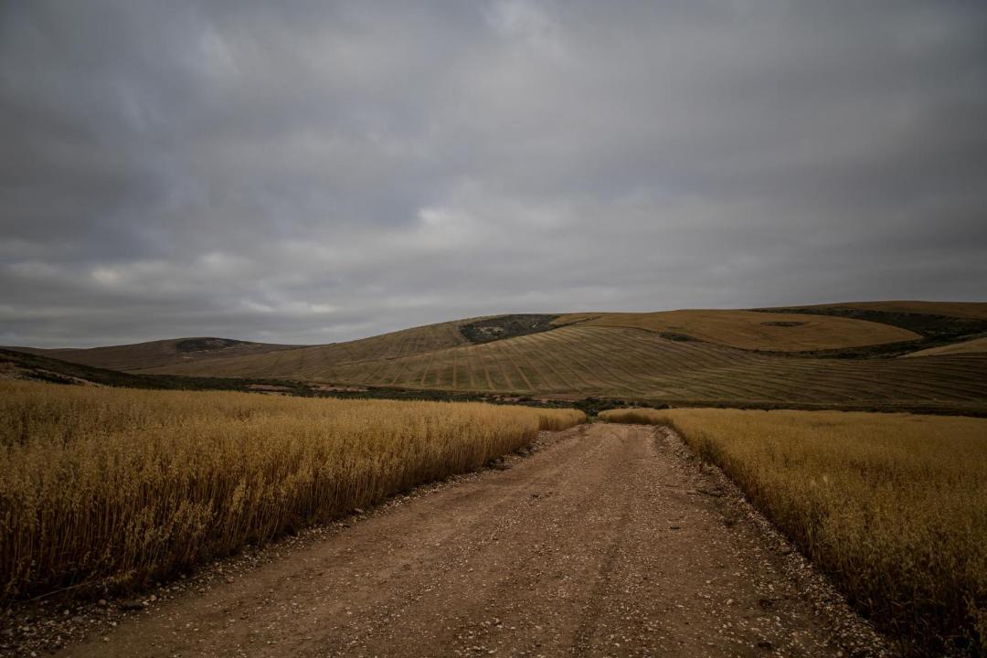 Photo of Others in Breede River Valley