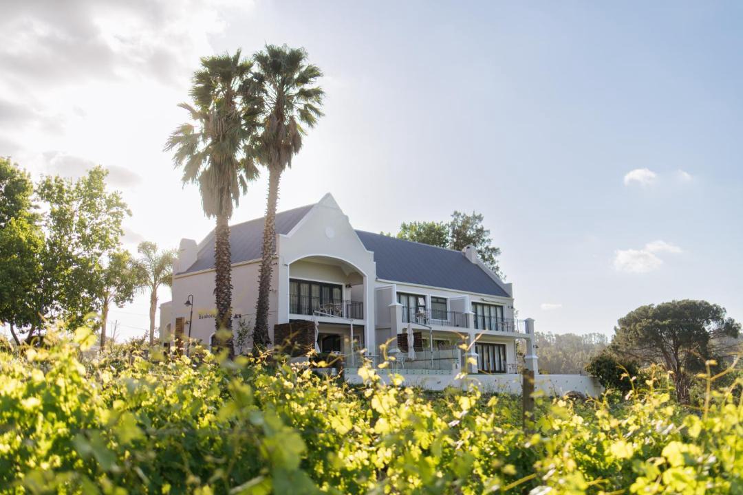 Photo of Others in Cape Winelands