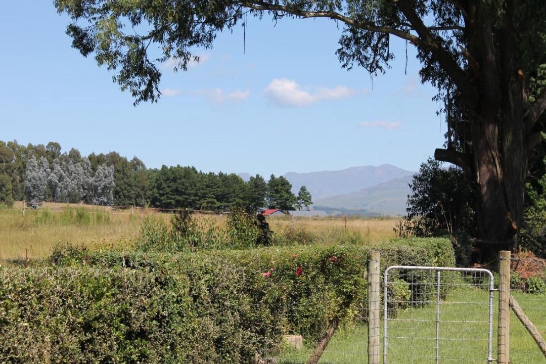 Photo of Others in Underberg