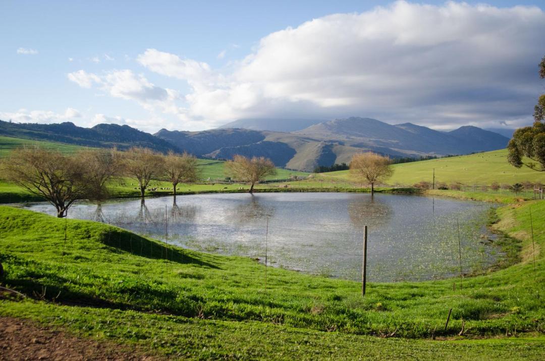 Photo of Others in Theewaterskloof