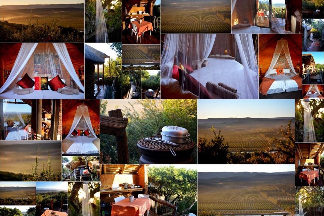 Photo of Others in Addo