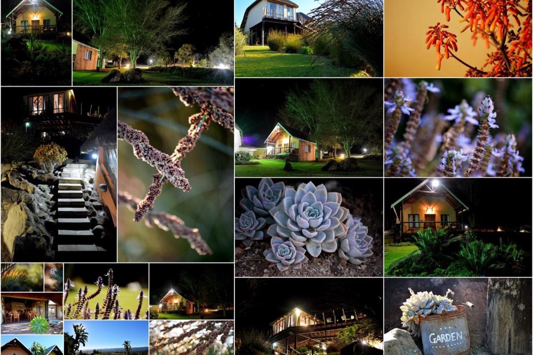 Photo of Others in Addo