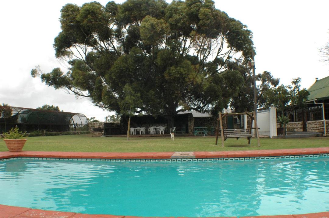 Photo of Others in Vredenburg