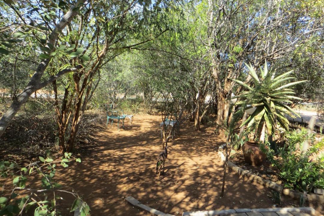 Photo of Outdoor in Hoedspruit