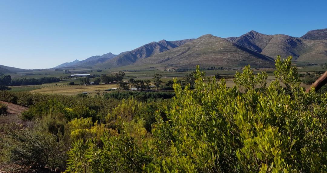 Photo of Outdoor in Joubertina