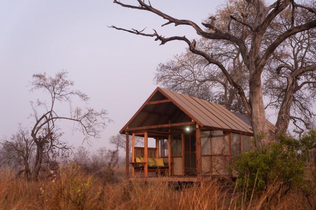 Photo of Others in Kruger National Park