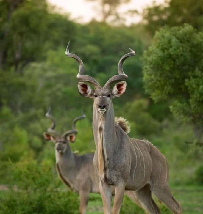 Photo of Others in Nelspruit